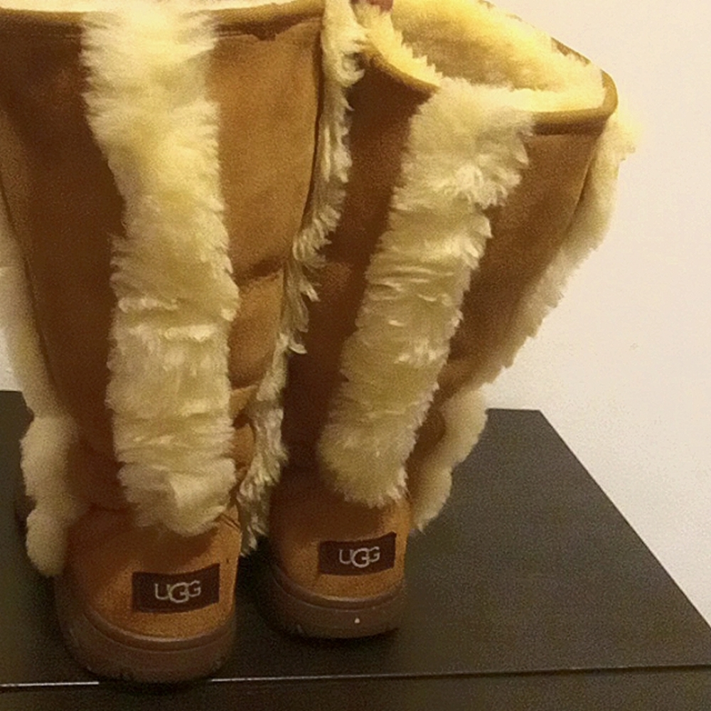 Ugg sunburst chestnut